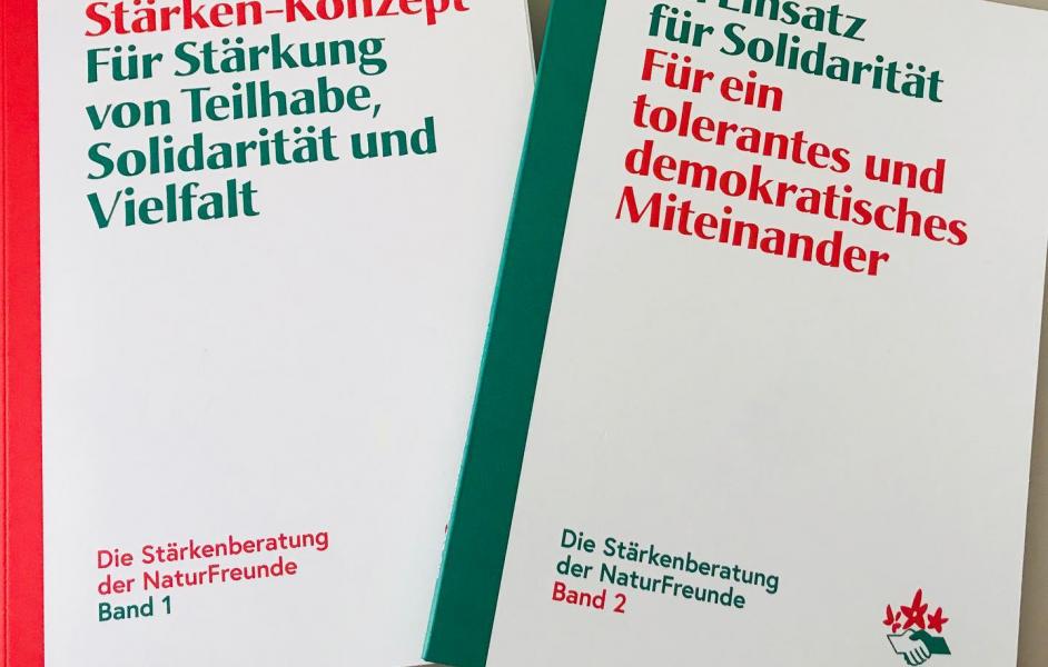 Handbuch Stärkenberatung